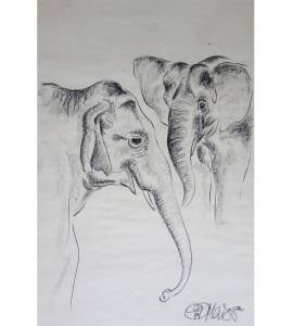 2 Elefanten 1988