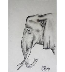 Elefant 1990
